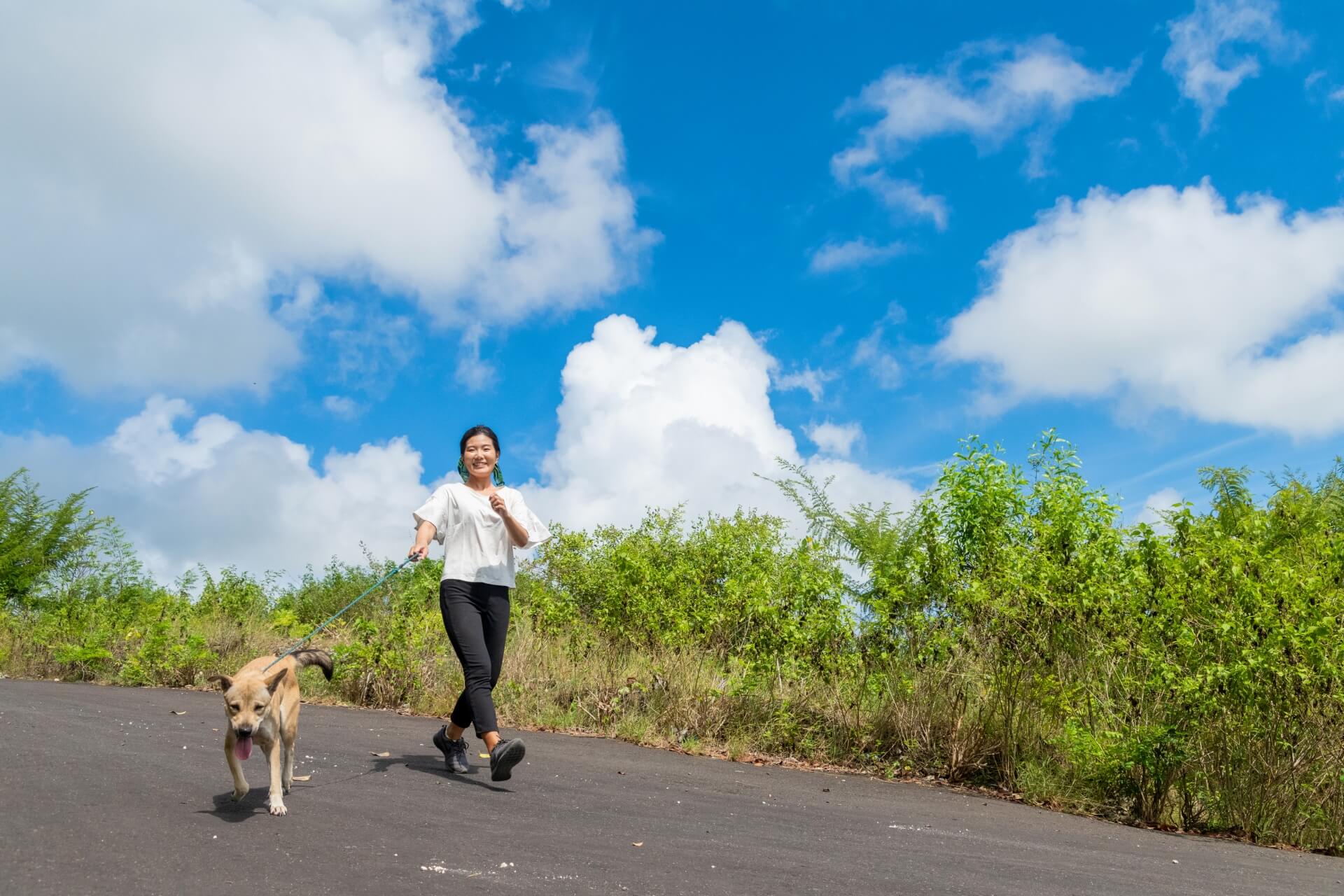 移住相談の相談員で見えてきた現状と課題をＦＰが解説します